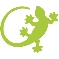 Grüner Gecko